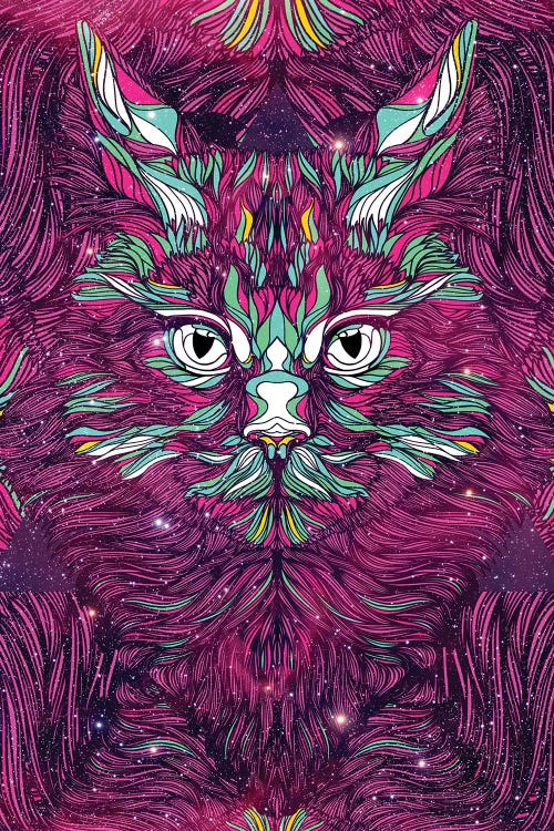 Space Cat by Danny Ivan wall art