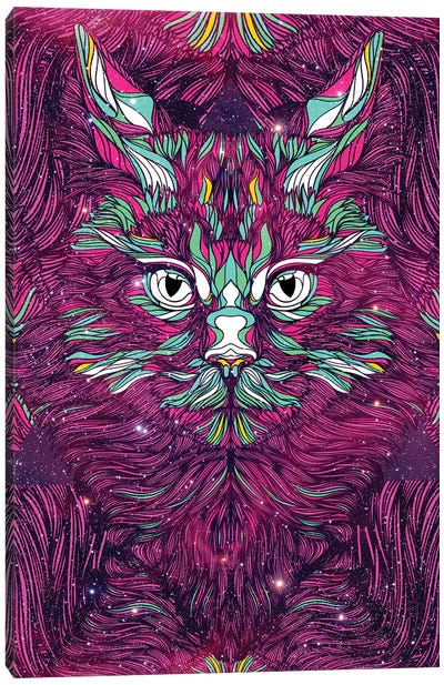 Space Cat Canvas Art Print - Danny Ivan