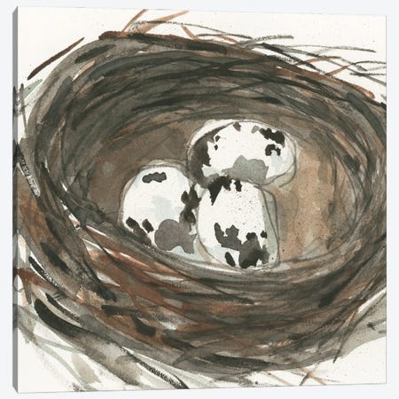 Nesting Eggs I Canvas Print #DIX138} by Samuel Dixon Canvas Art