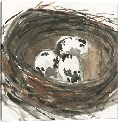 Nesting Eggs I Canvas Art Print - Nests