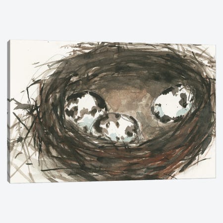 Nesting Eggs II Canvas Print #DIX139} by Samuel Dixon Canvas Wall Art