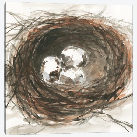 Nesting Eggs III Canvas Print #DIX140} by Samuel Dixon Canvas Art Print
