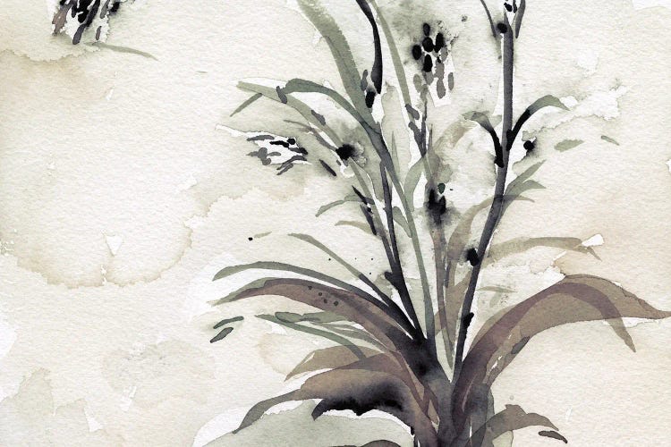 Plant of the Age I by Samuel Dixon wall art