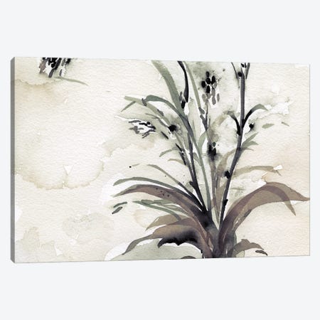 Plant of the Age I Canvas Print #DIX159} by Samuel Dixon Canvas Wall Art