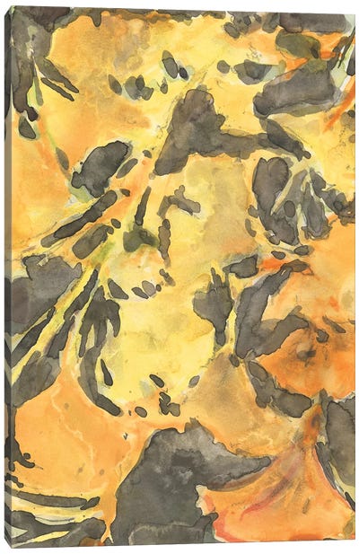 Ginkgo Leafing I Canvas Art Print - Samuel Dixon