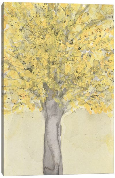 Yellow Autumn Moment I Canvas Art Print - Samuel Dixon