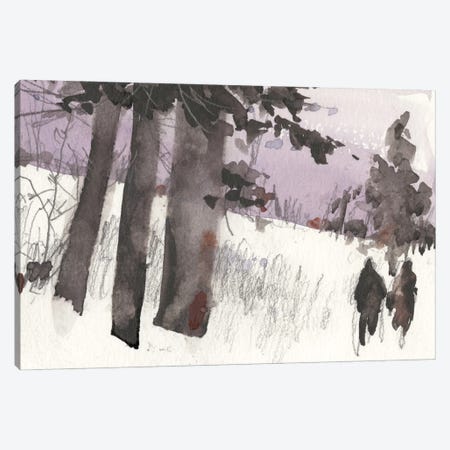 Woodland Sketch II Canvas Print #DIX20} by Samuel Dixon Canvas Art Print