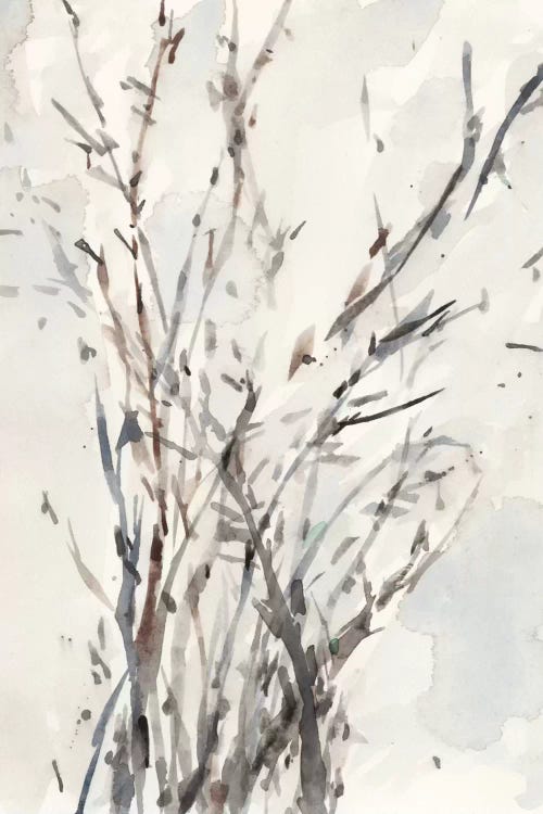 Watercolor Branches I