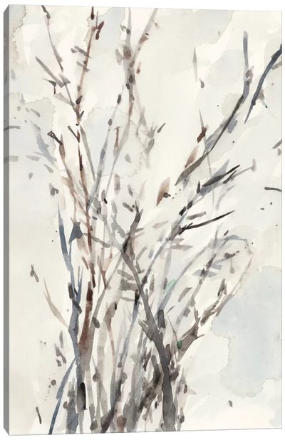 Watercolor Branches I Canvas Art Print - Samuel Dixon
