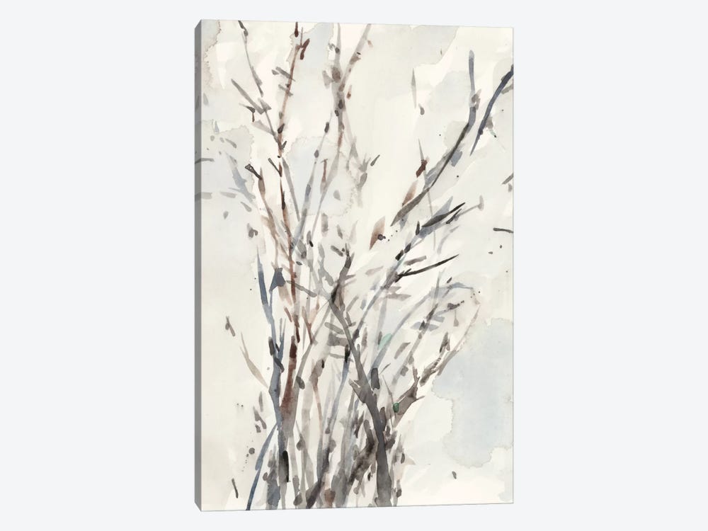 Watercolor Branches I by Samuel Dixon 1-piece Canvas Wall Art