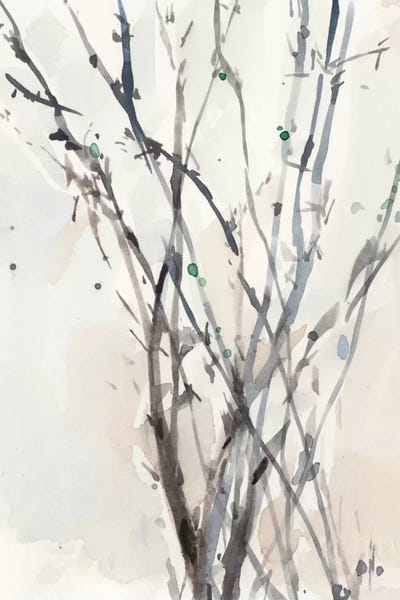 Watercolor Branches II by Samuel Dixon art print