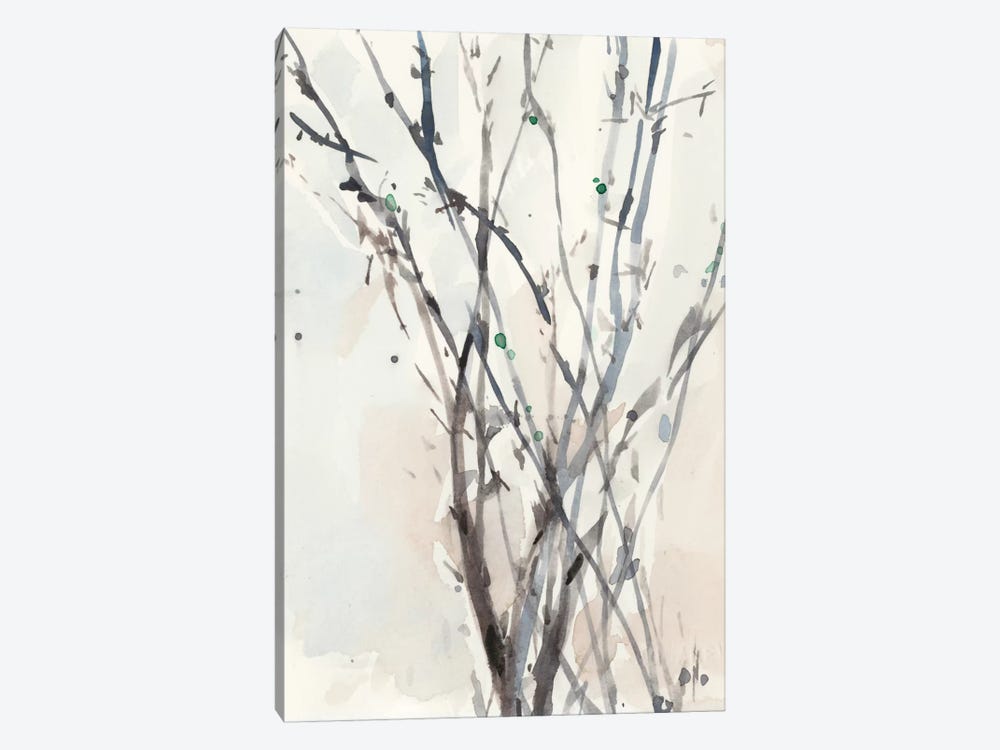 Watercolor Branches II by Samuel Dixon 1-piece Canvas Print