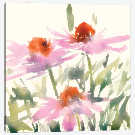 Daisy Garden Views I Canvas Print #DIX96} by Samuel Dixon Canvas Art Print