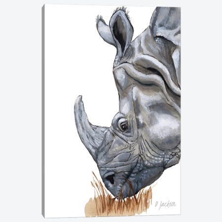 Greater One Horned Rhino Canvas Print #DJA16} by Dawn Jackson Canvas Art