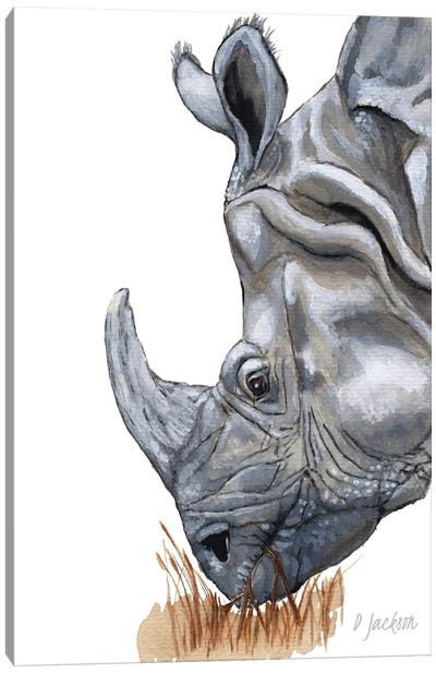Greater One Horned Rhino Canvas Art Print - Dawn Jackson