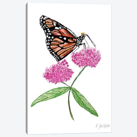 Monarch Butterfly On Pink Milkweed Flower Canvas Print #DJA17} by Dawn Jackson Canvas Art