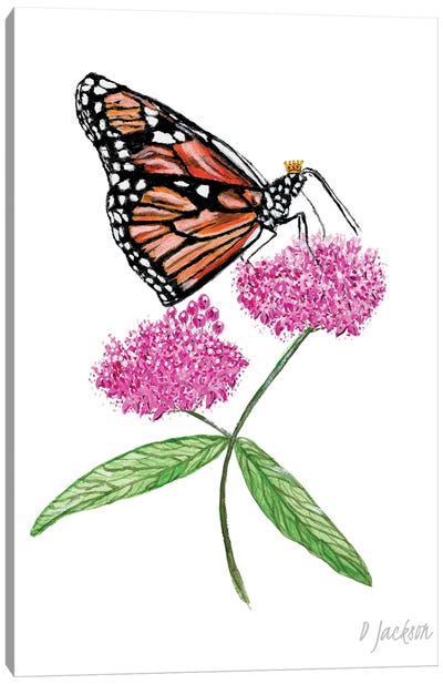 Monarch Butterfly On Pink Milkweed Flower Canvas Art Print - Dawn Jackson