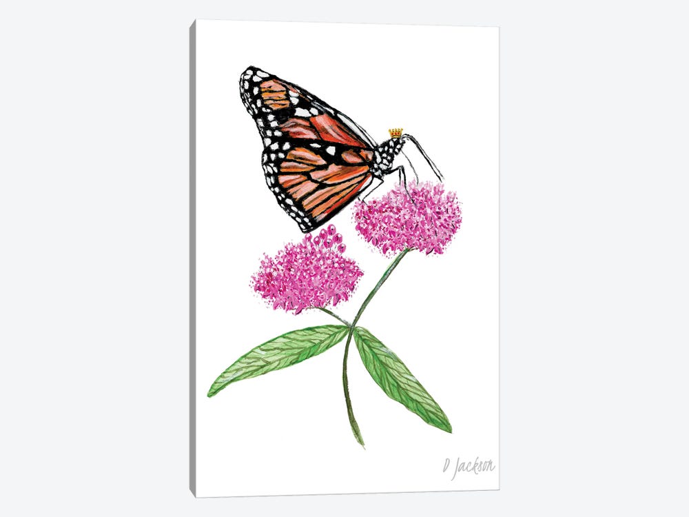 Monarch Butterfly On Pink Milkweed Flower by Dawn Jackson 1-piece Canvas Art Print
