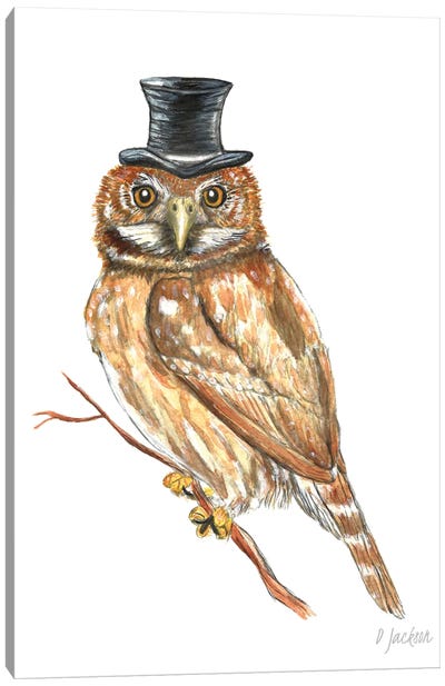 Owl In Top Hat Canvas Art Print - Dawn Jackson