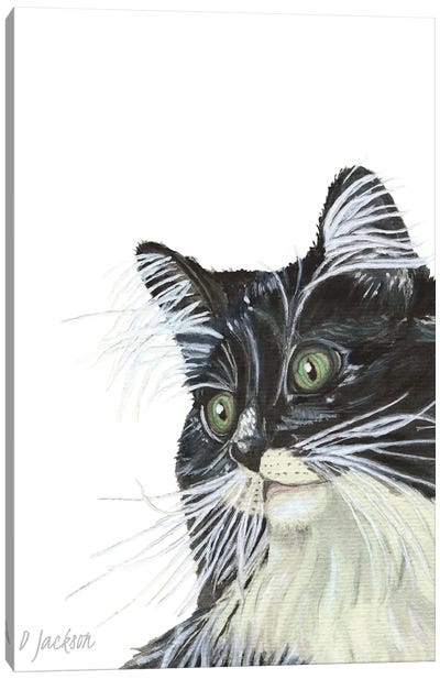 Tuxedo Cat Canvas Art Print - Dawn Jackson