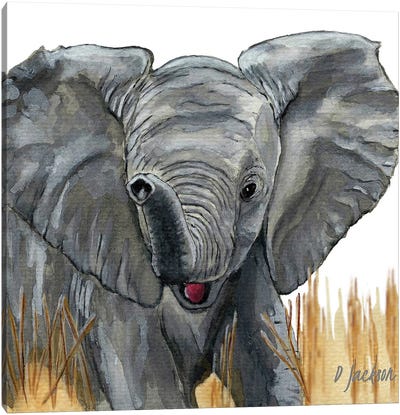 Baby Elephant Canvas Art Print - Dawn Jackson