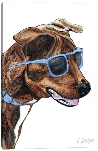 Brindle Dog In Sunglasses Canvas Art Print - Dawn Jackson