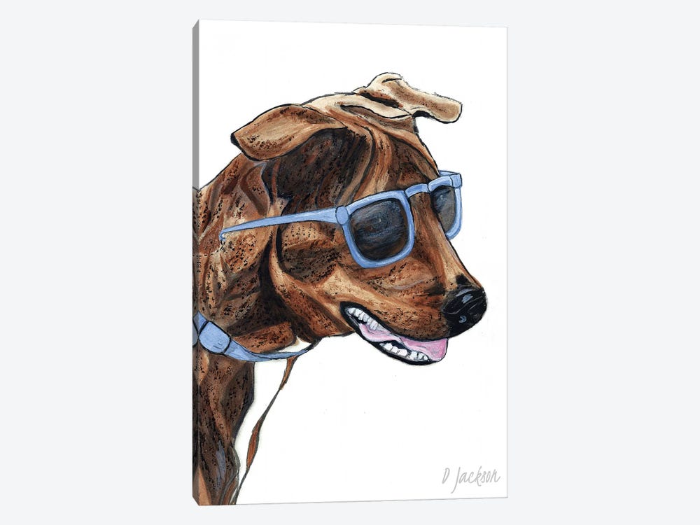 Brindle Dog In Sunglasses by Dawn Jackson 1-piece Canvas Wall Art