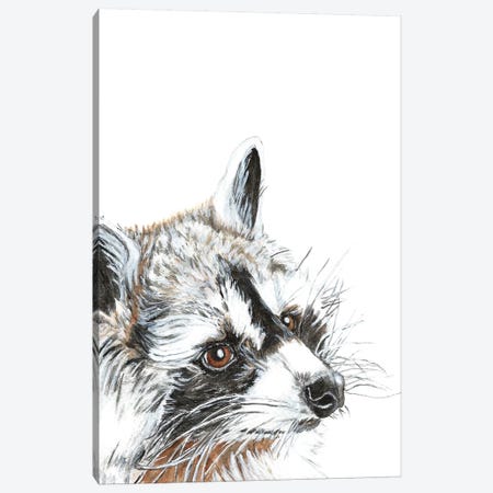 Curious Raccoon Canvas Print #DJA46} by Dawn Jackson Art Print