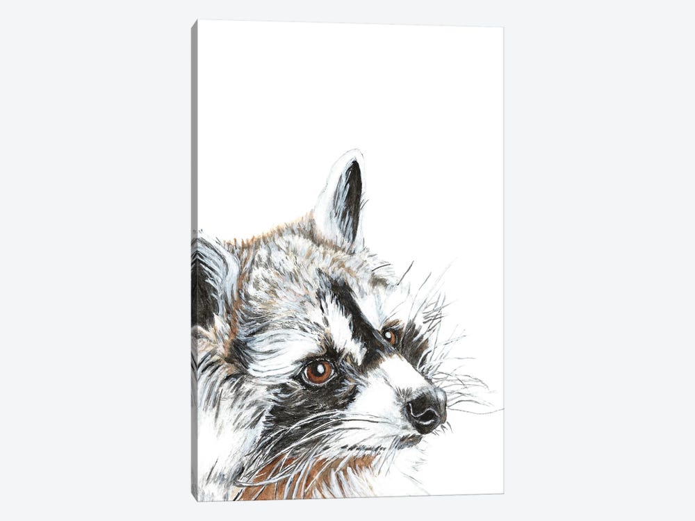 Curious Raccoon by Dawn Jackson 1-piece Canvas Print