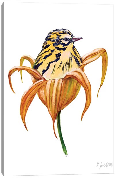 Bird In Orange Lily Canvas Art Print - Dawn Jackson
