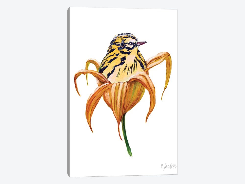 Bird In Orange Lily by Dawn Jackson 1-piece Canvas Print