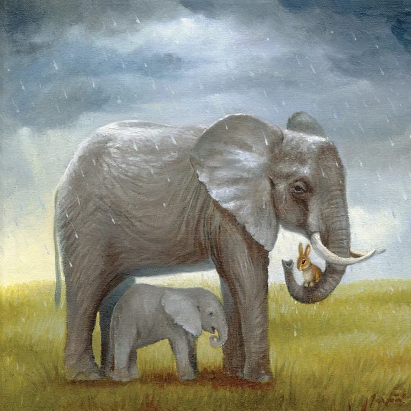 Rain: Isabella And The Elephant by David Joaquin