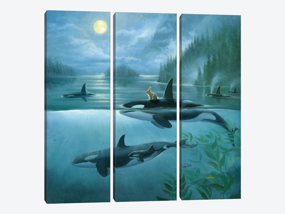 Isabella And The Pod by David Joaquin 3-piece Canvas Print