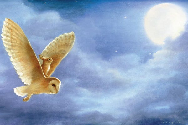 Dreamer: Isabella Takes A Chance by David Joaquin