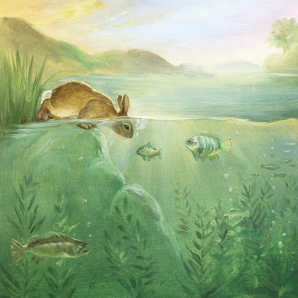 Fish: Isabella And The New World by David Joaquin