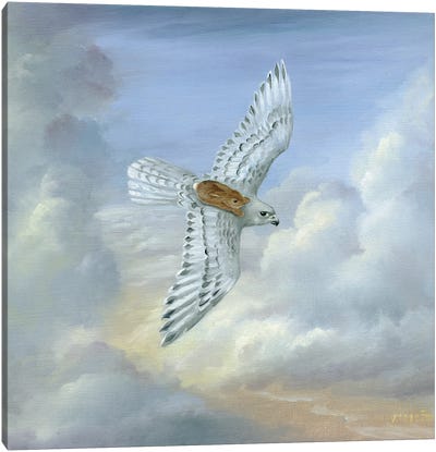 Isabella And The Clouds Canvas Art Print - Buzzard & Hawk Art