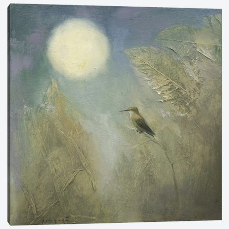 Hummingbird Dreaming Canvas Print #DJQ2} by David Joaquin Canvas Art