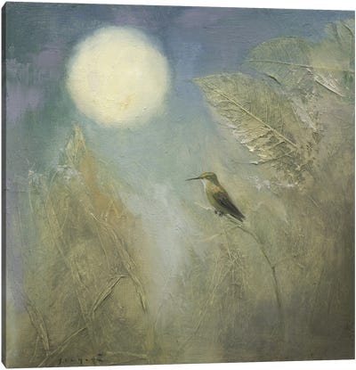Hummingbird Dreaming Canvas Art Print - David Joaquin