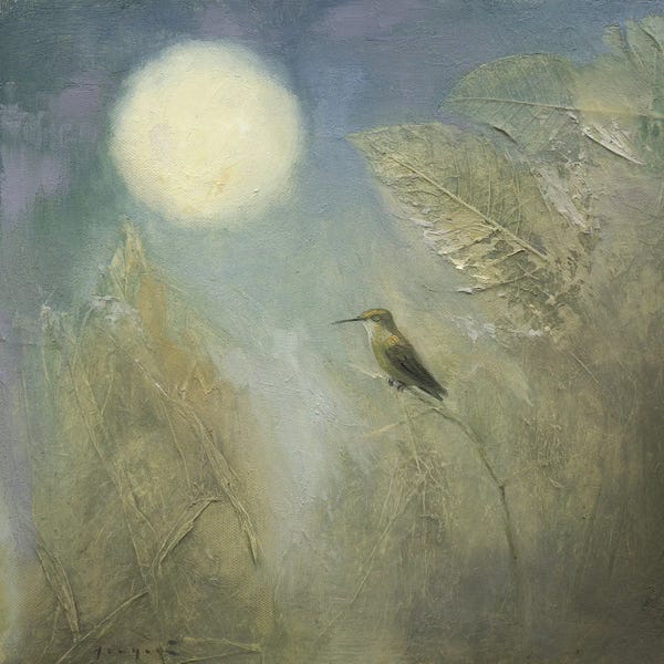 Hummingbirds: Hummingbird Dreaming by David Joaquin