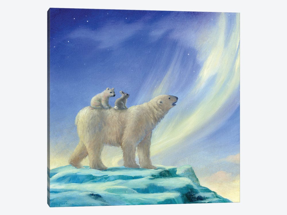 Isabella And The Northern Lights by David Joaquin 1-piece Canvas Print