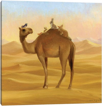 Isabella And The Sahara Canvas Art Print - Camel Art