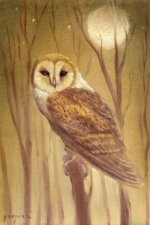 The Owl by David Joaquin wall art