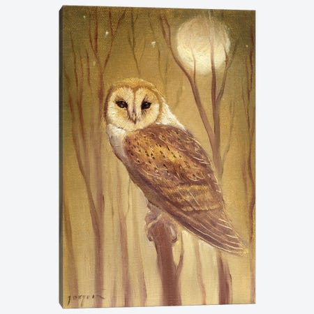 The Owl Canvas Print #DJQ38} by David Joaquin Art Print