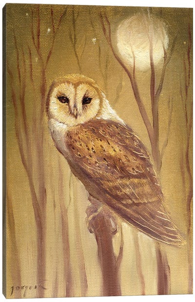The Owl Canvas Art Print - Moon Art