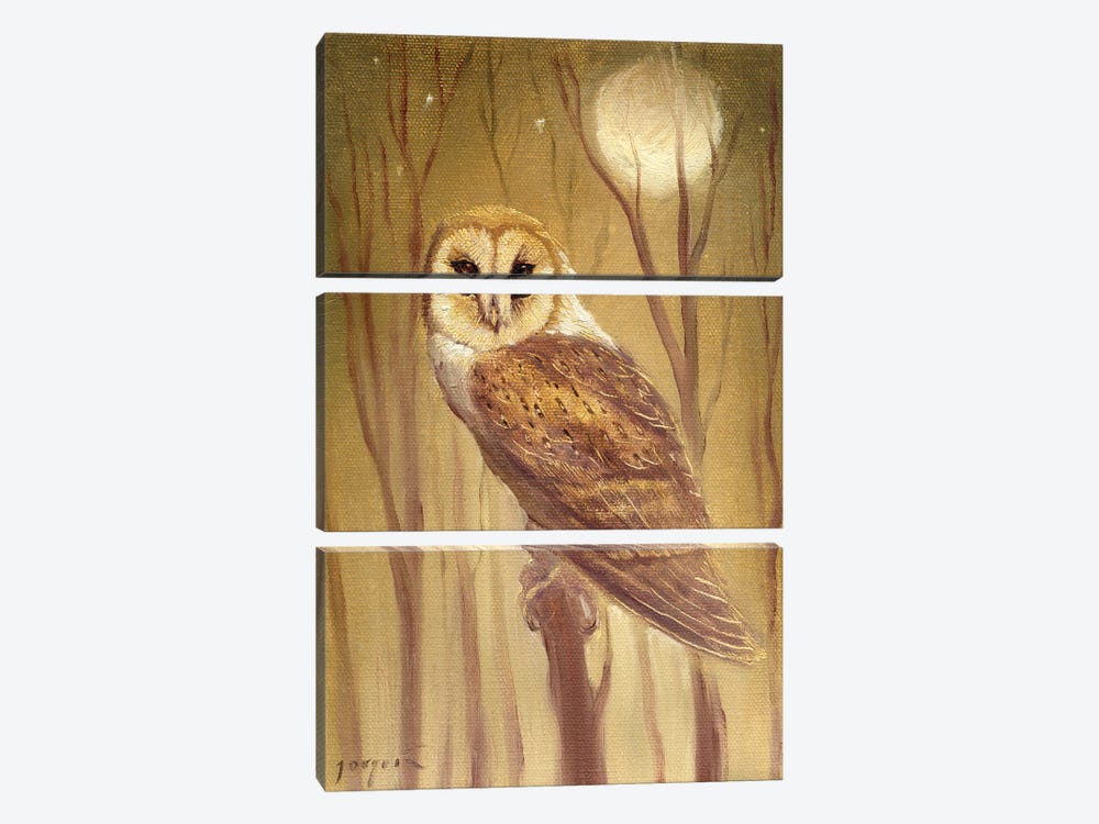 The Owl by David Joaquin 3-piece Canvas Art Print