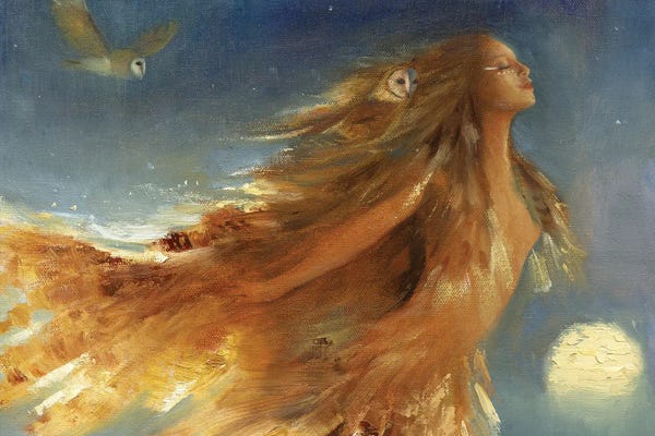 Native American Décor: Owl Woman by David Joaquin