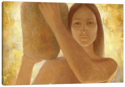 Anasazi Canvas Art Print - Art by Native American & Indigenous Artists