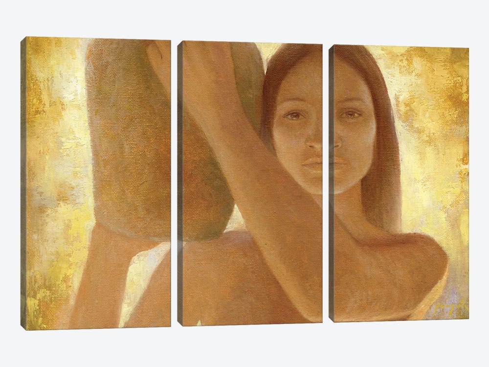 Anasazi by David Joaquin 3-piece Canvas Art Print