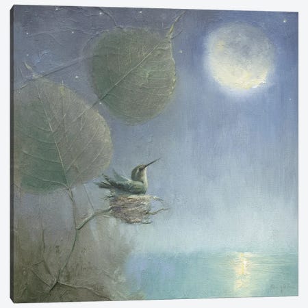 Hummingbird Moon Canvas Print #DJQ4} by David Joaquin Art Print