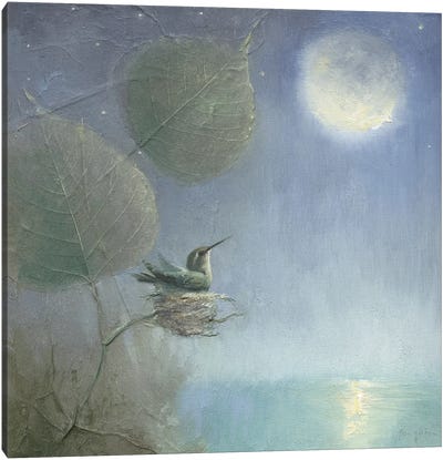 Hummingbird Moon Canvas Art Print - Full Moon Art